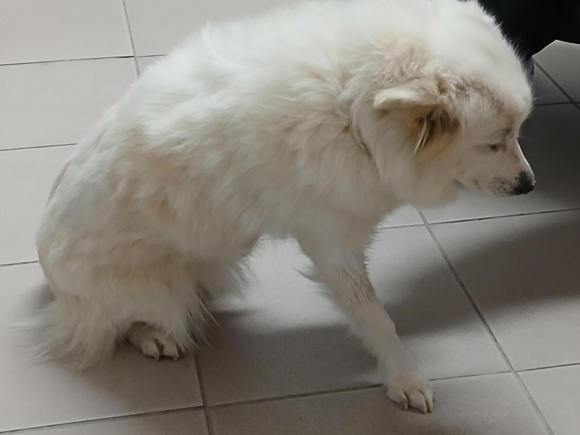 남해군동물보호센터_448543202500192